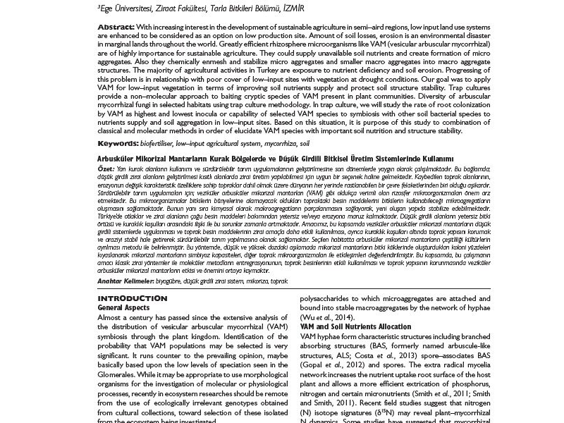 The Usage of Native Arbuscular Mycorrhizal Fungi (AMF) in Drought Areas and Low–Input Crop Production Systems