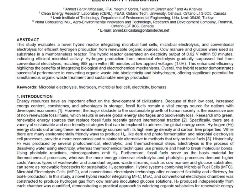 An investigation of hybrid reactor for simultaneous hydrogen and electricity production